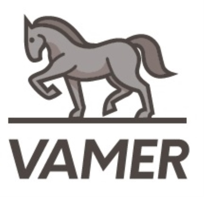 VAMER